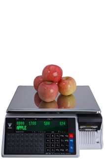 Весы с печатью Digi SM-100 CSPlus