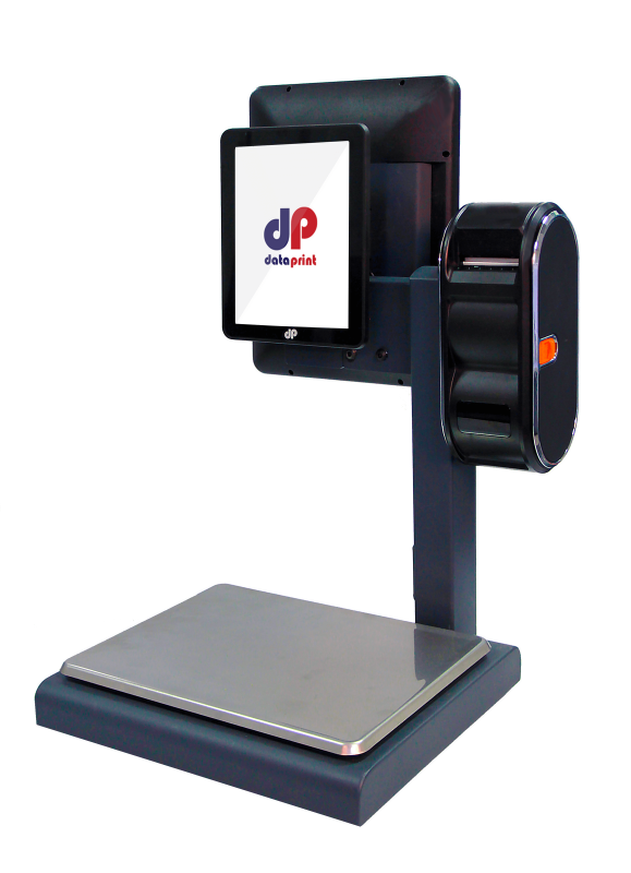 DP Palm